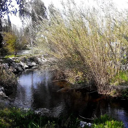 公寓式酒店 阿尔法公寓酒店 博德鲁姆