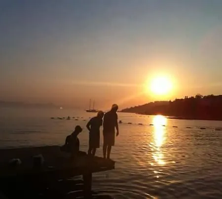 알파 아파트먼트 오텔 3* Bodrum