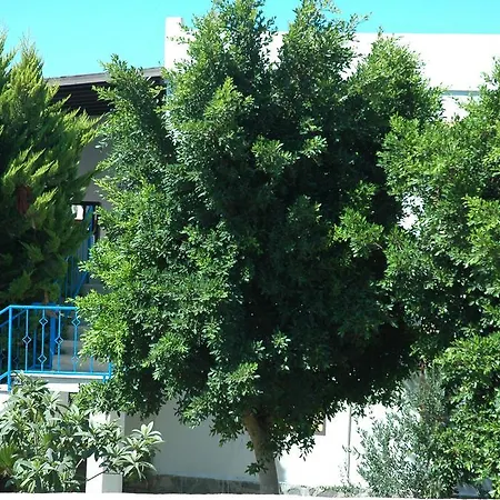 아파트호텔 알파 아파트먼트 오텔 Bodrum