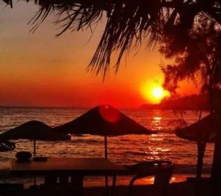 알파 아파트먼트 오텔 Bodrum