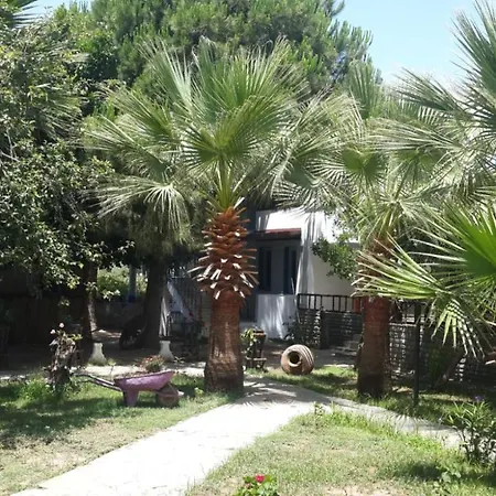 阿尔法公寓酒店 3* 博德鲁姆