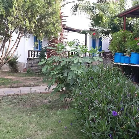 阿尔法公寓酒店 公寓式酒店