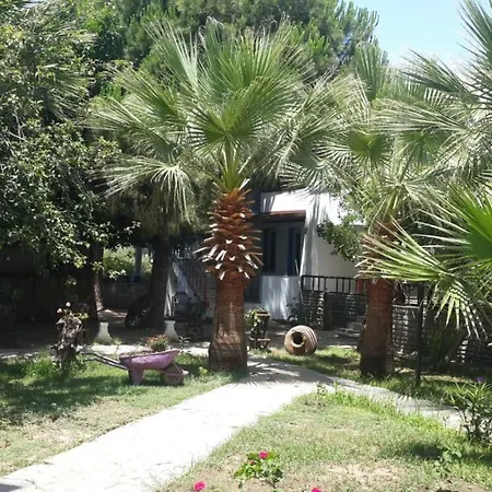 Appart hôtel Alfa Bodrum