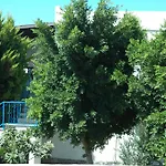 מלון דירות Alfa בודרום