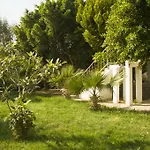 Alfa בודרום