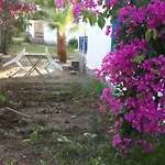 Alfa בודרום