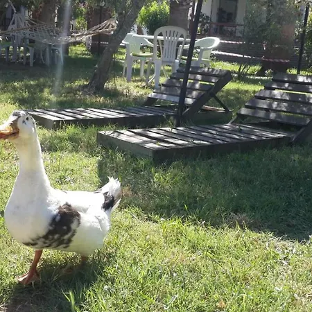 Alfa Aparthotel Bodrum