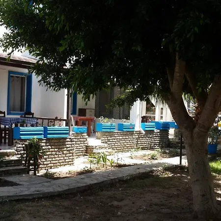 Alfa בודרום