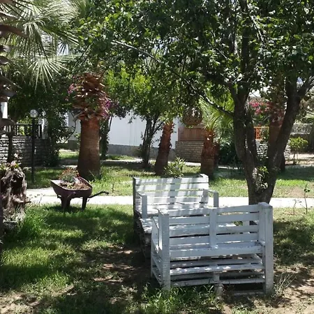Alfa 3* Bodrum